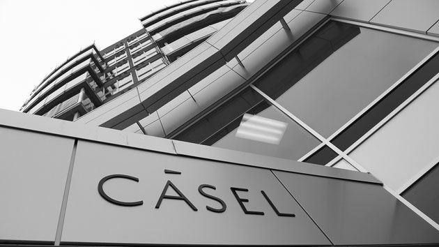  Casel building exterior sign for building logo. Raised letters cut metal and mounted onto the metal siding. 