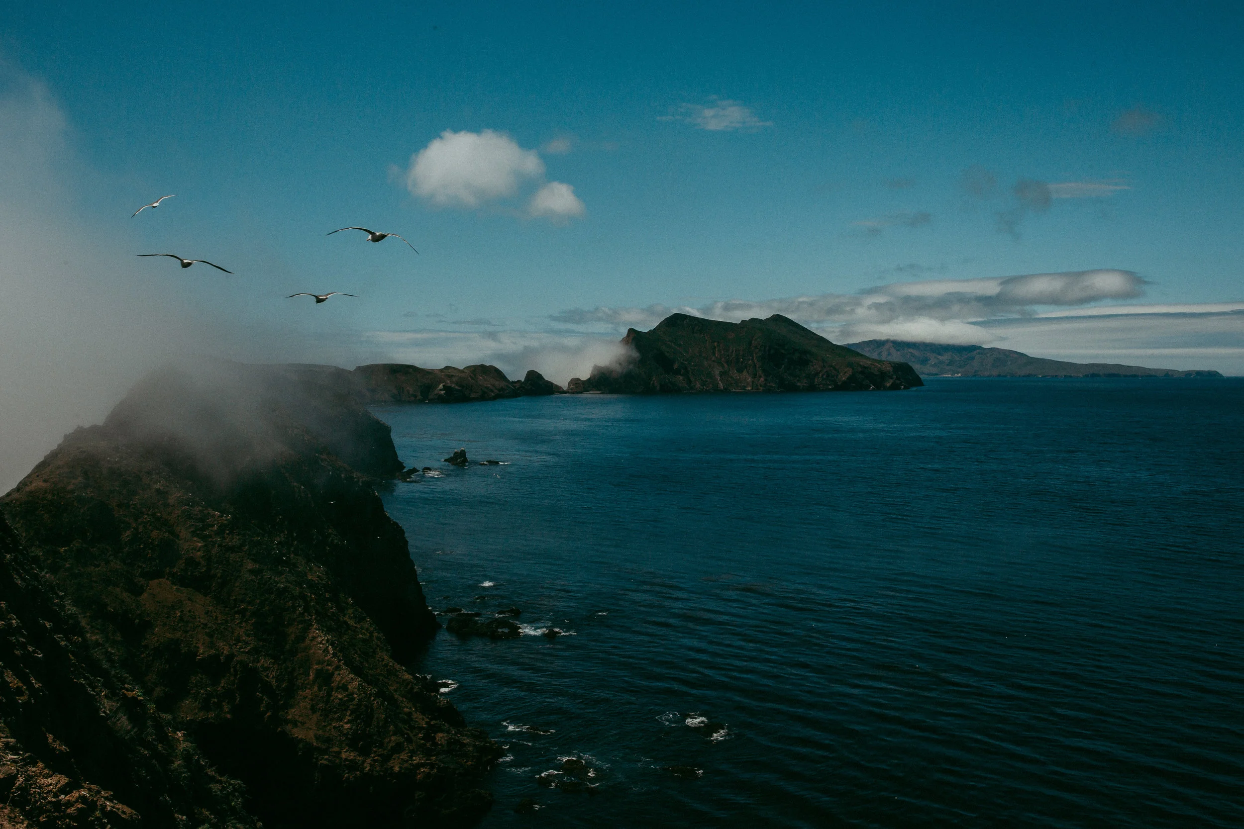 _F5A9849.jpg