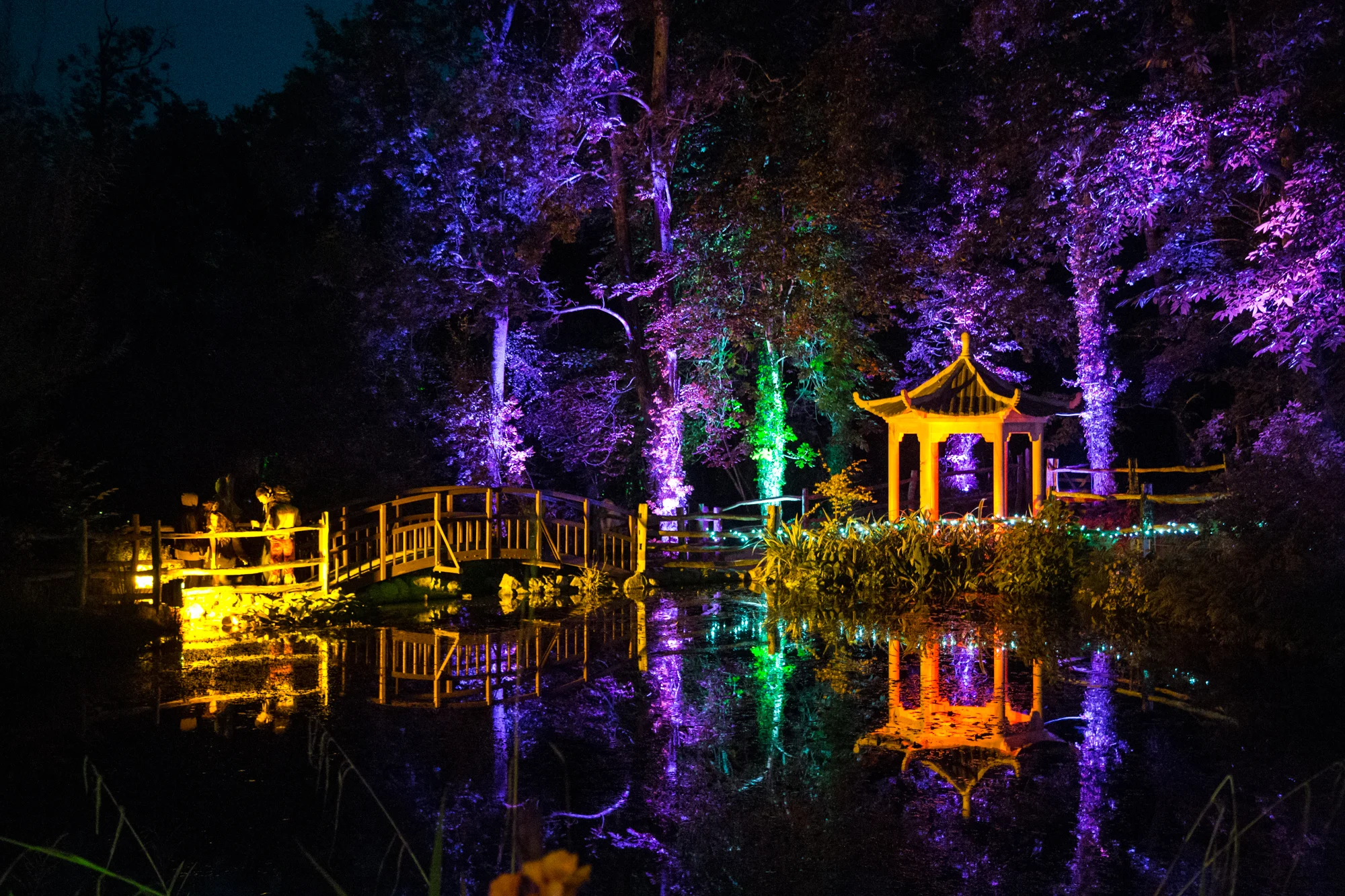 Bestival 2015-3660.jpg