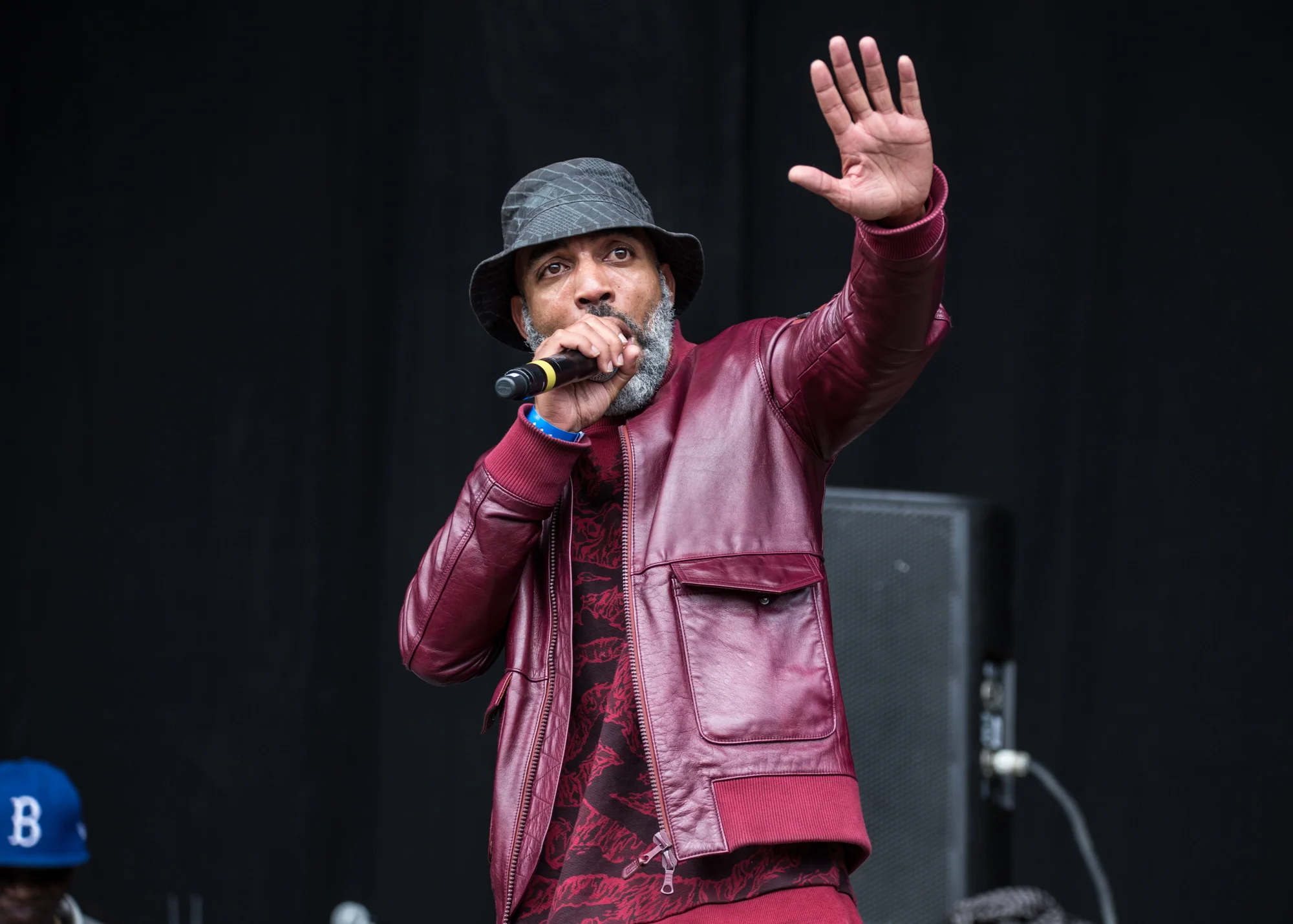 Bestival 2015-4971.jpg