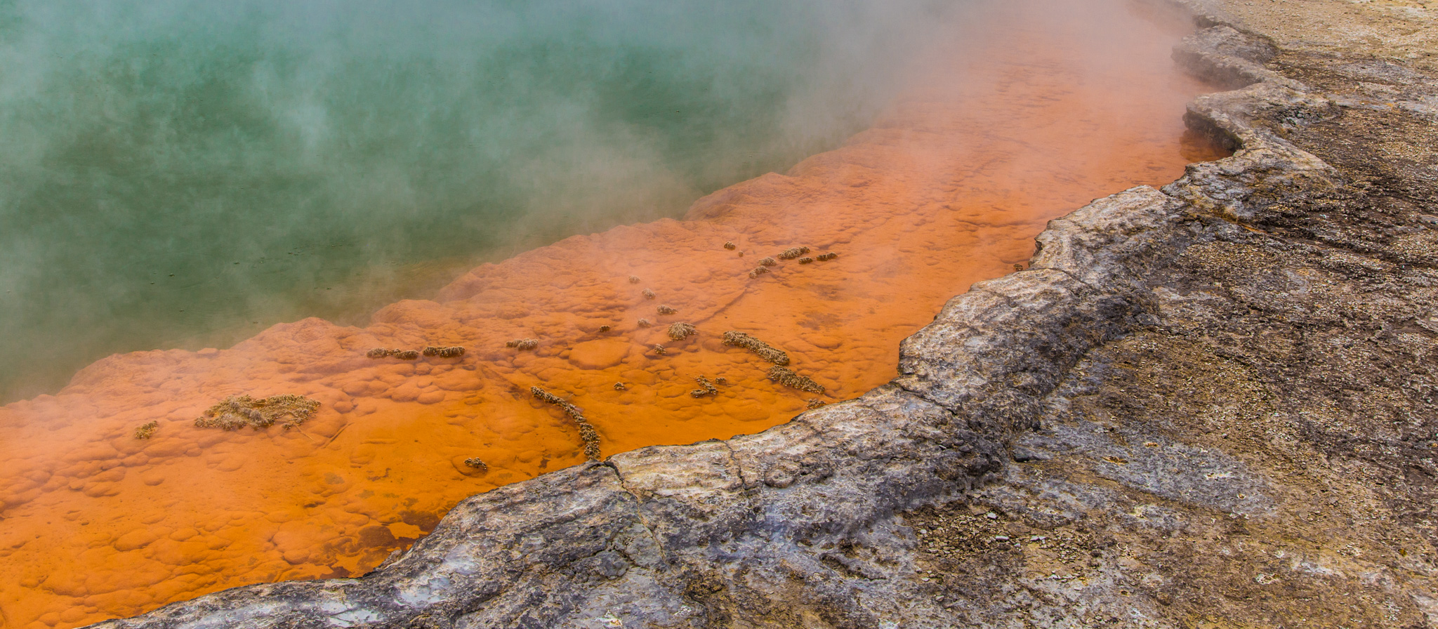 The Champaign Pool and Geothermal Park