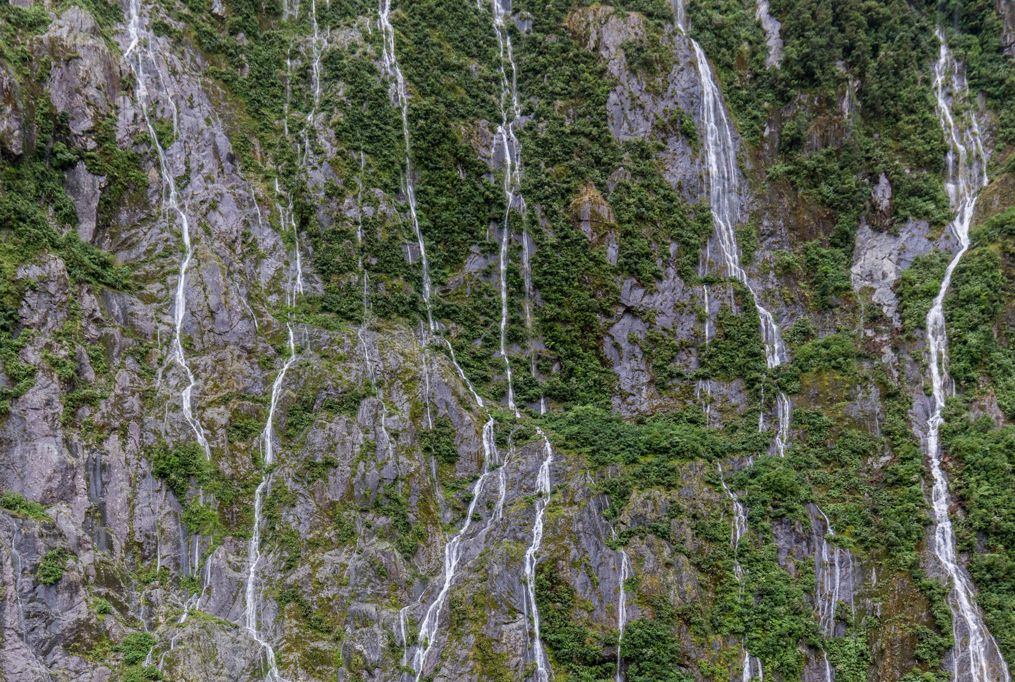 Milford Sound