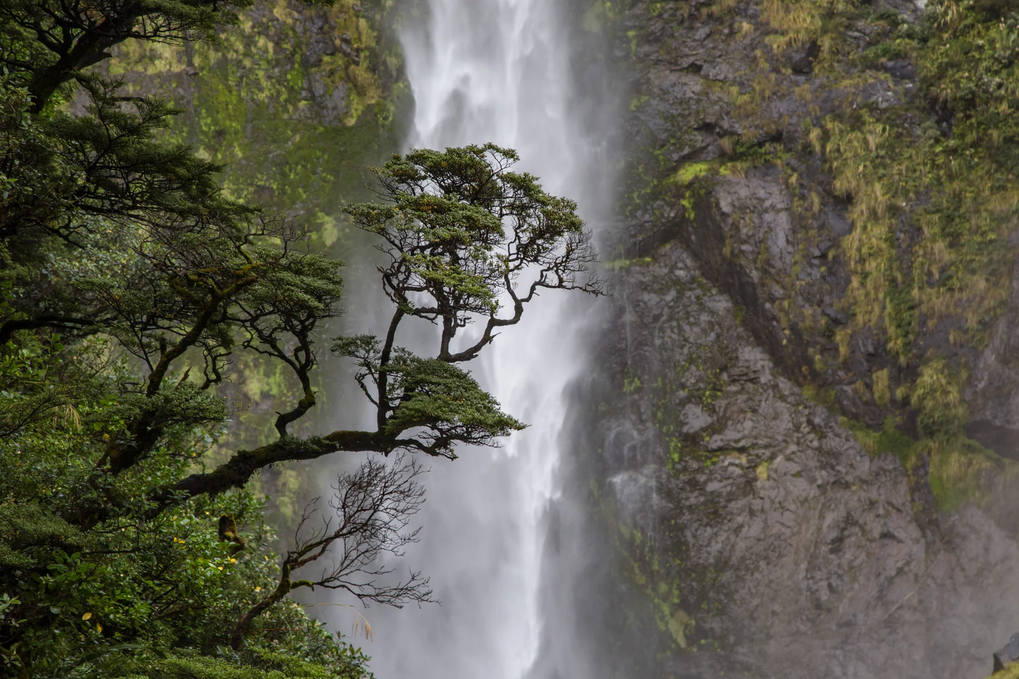 Devil's Punchbowl Falls, Arthur's Pass