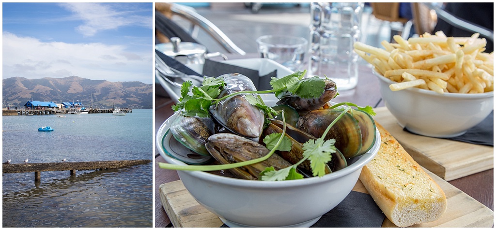 Green Lipped Mussels in Akaroa