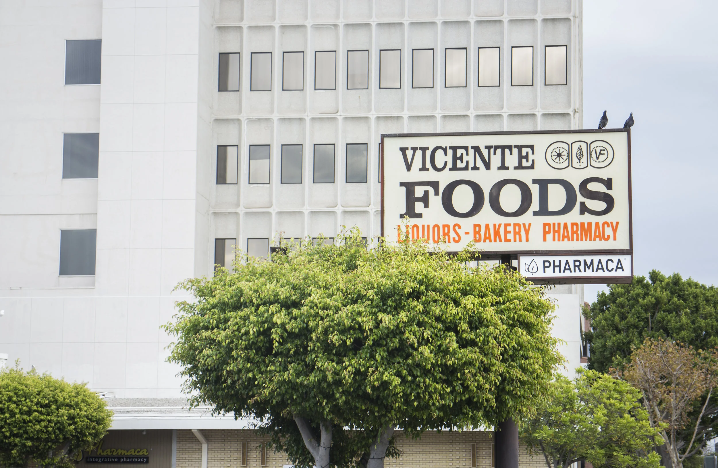 VicenteFoods.jpg
