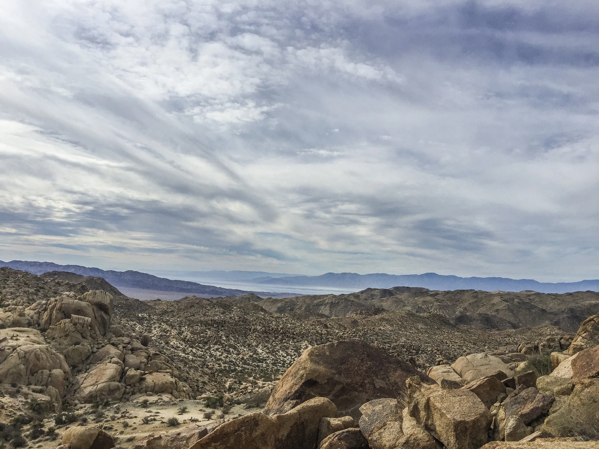19JoshuaTree.jpg