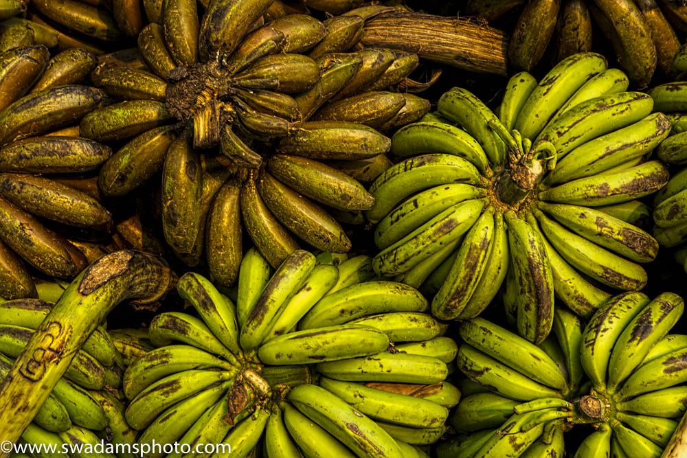 Bananas are sorted by origin and quality before being sold and transported to local markets.