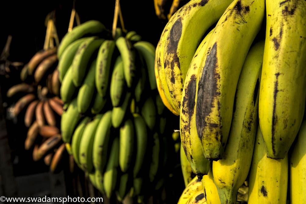 Burma produces a wide range of bananas in various textures, flavors, shapes and many shades of red, green and yellow