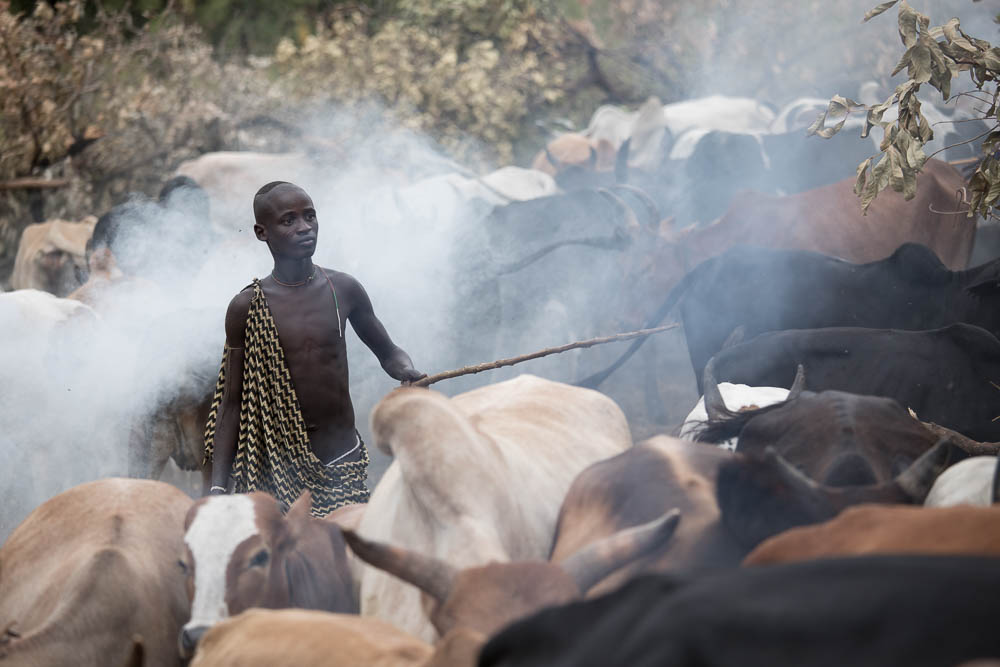 Young Suri man in cattle camp.