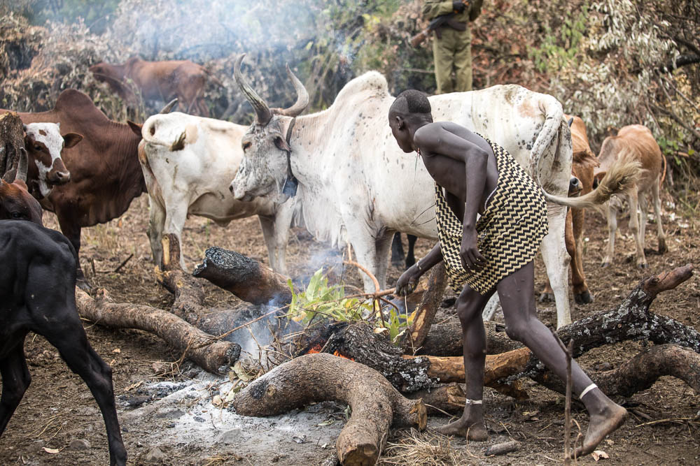 A young Suri man prepares a fire with green brush to generate smoke and control the flies and mosquios.