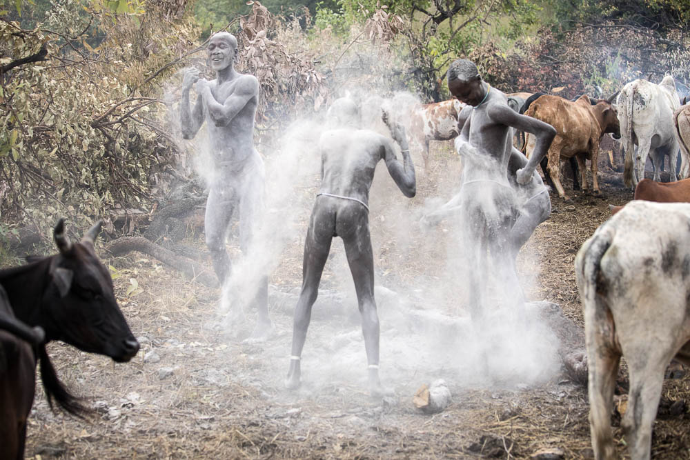 Blood drinking is highly ritualized. These Suri men cover their shave and naked bodies in ash prior to partaking.