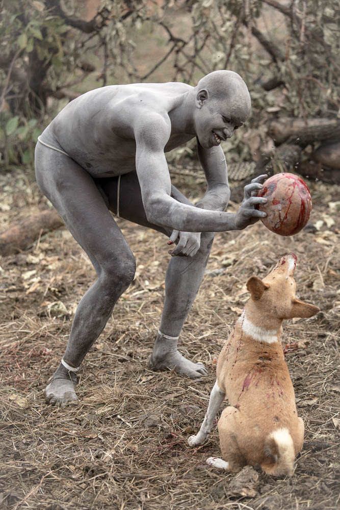 The dogs also enjoy a nice taste of cow's blood