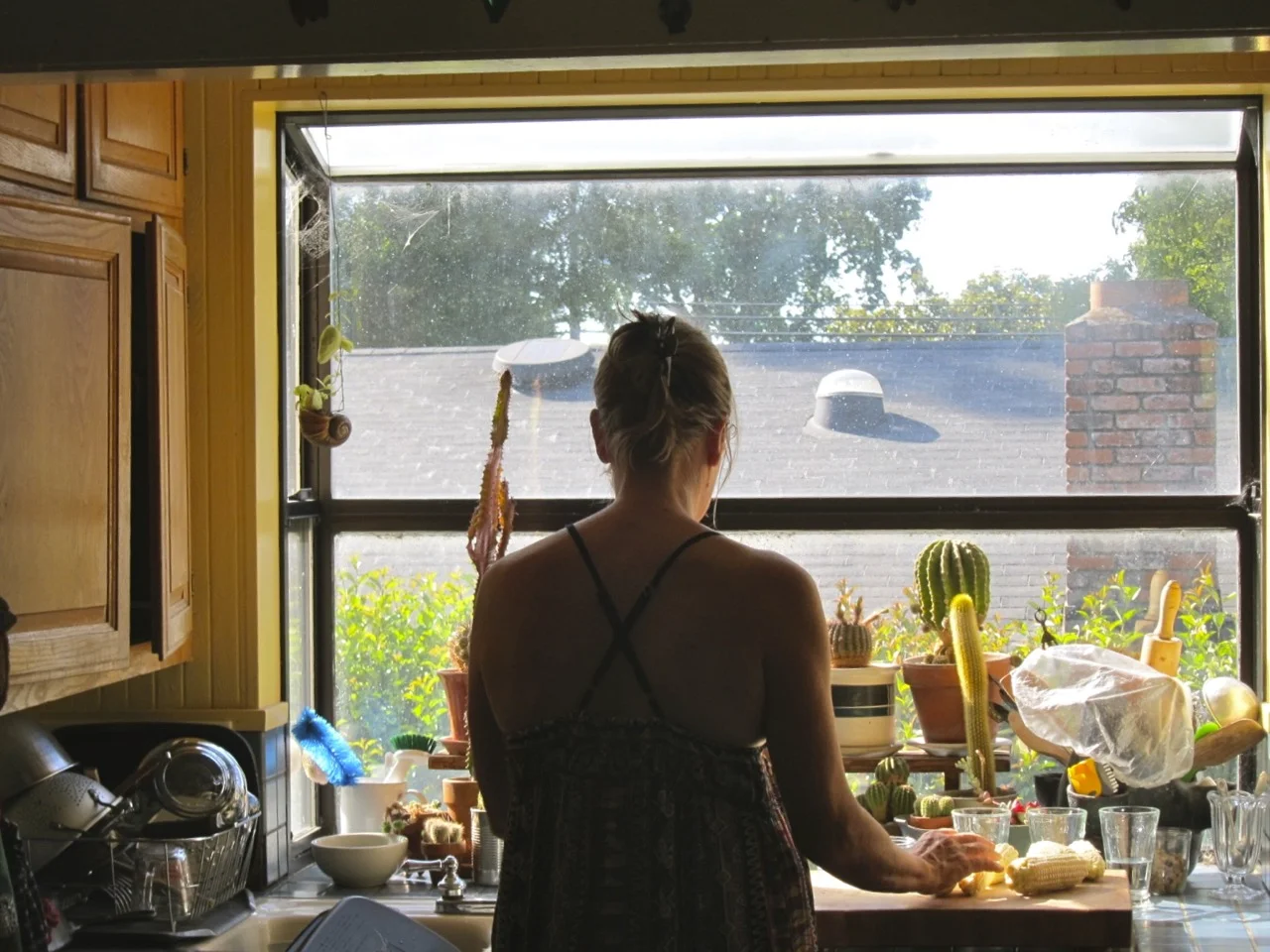 Donna in Her Kitchen (Santa Rosa)