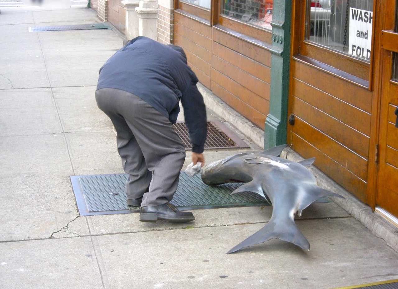  Cleaning a fish, Brooklyn, NY 