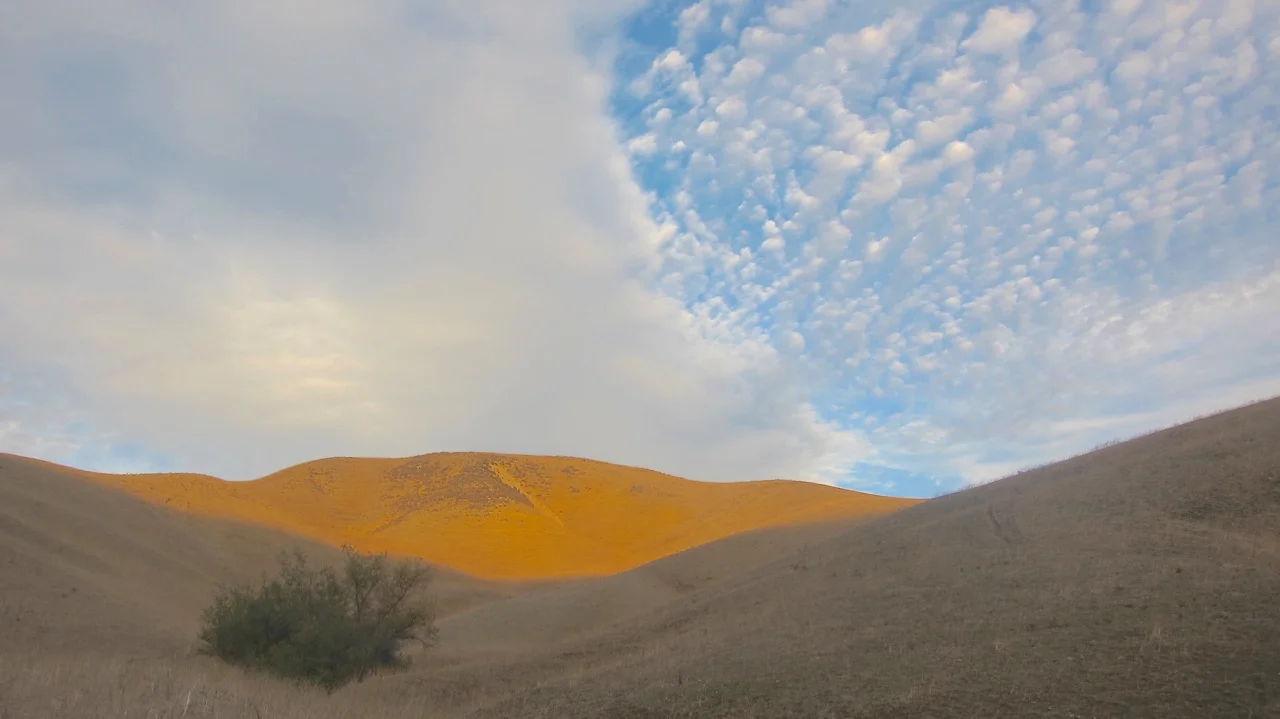 Cloud and Gold