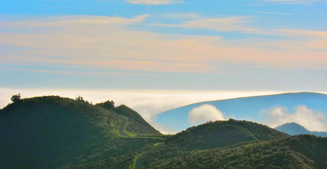 Winding Road