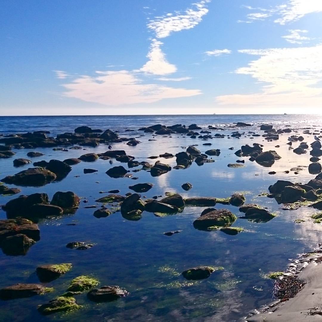 Low Tide