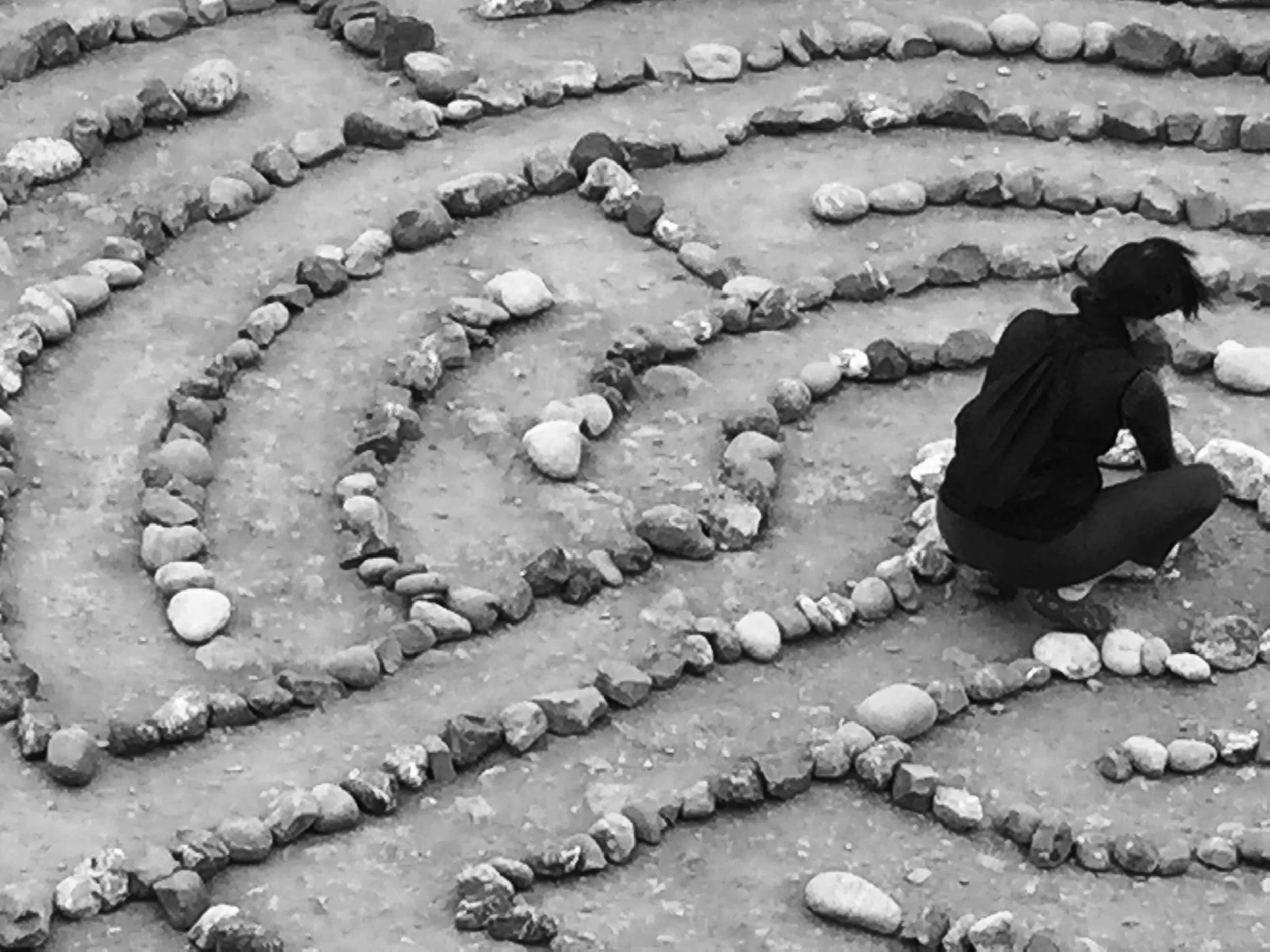 Day 1: The Article That Started It All