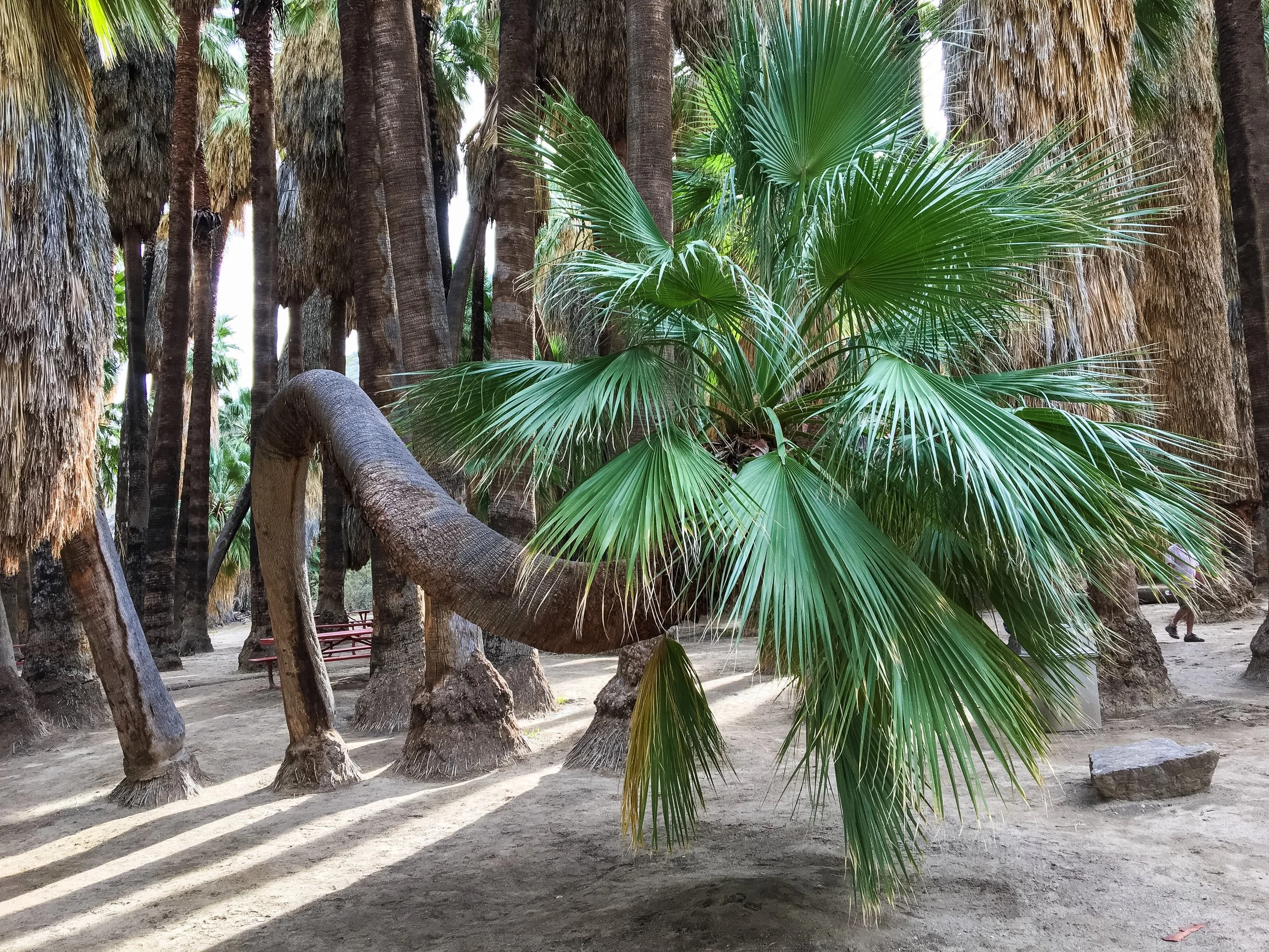 When We Cling to “Certainty”