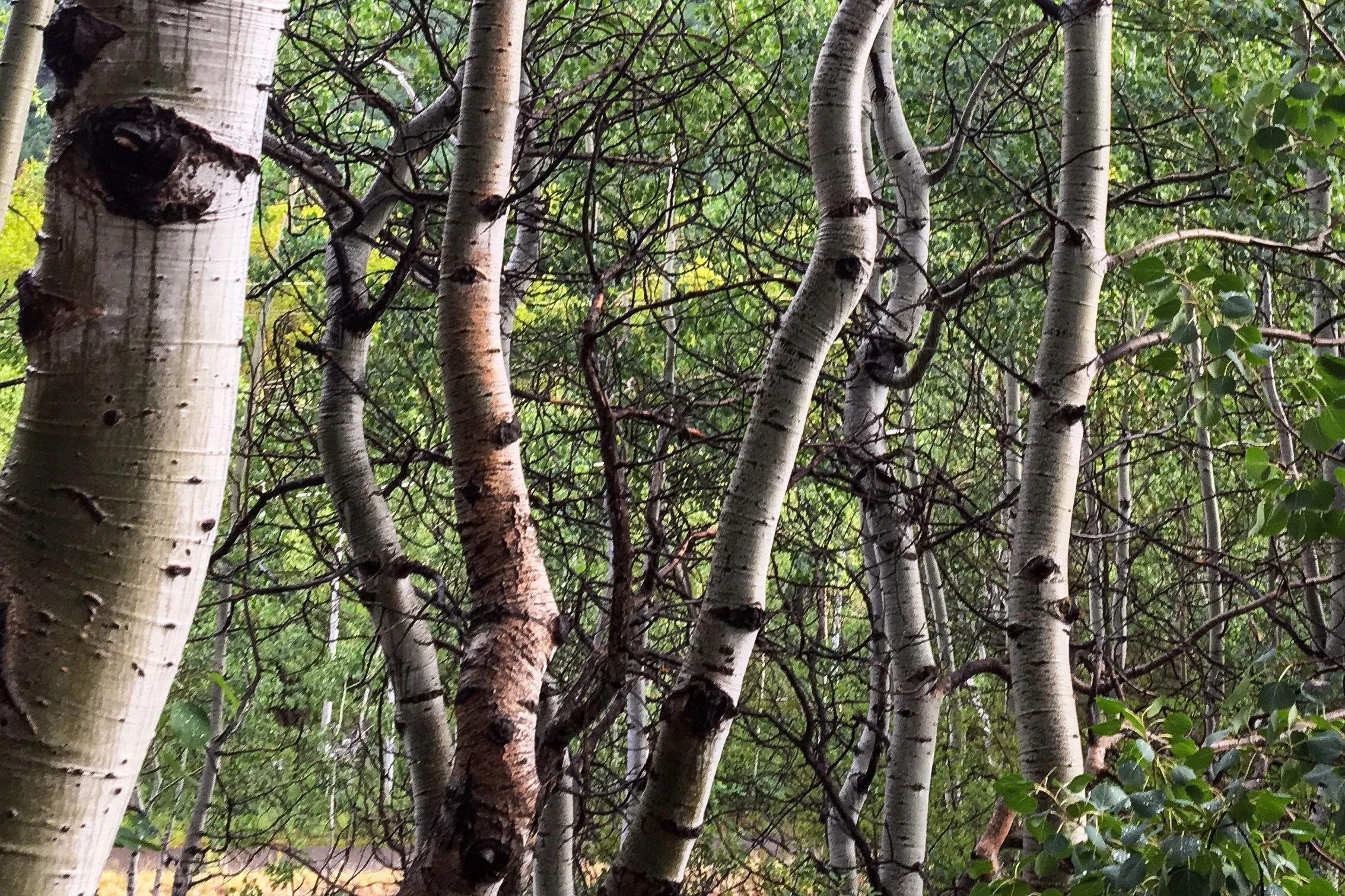 Where We Are At, and How You Can Help