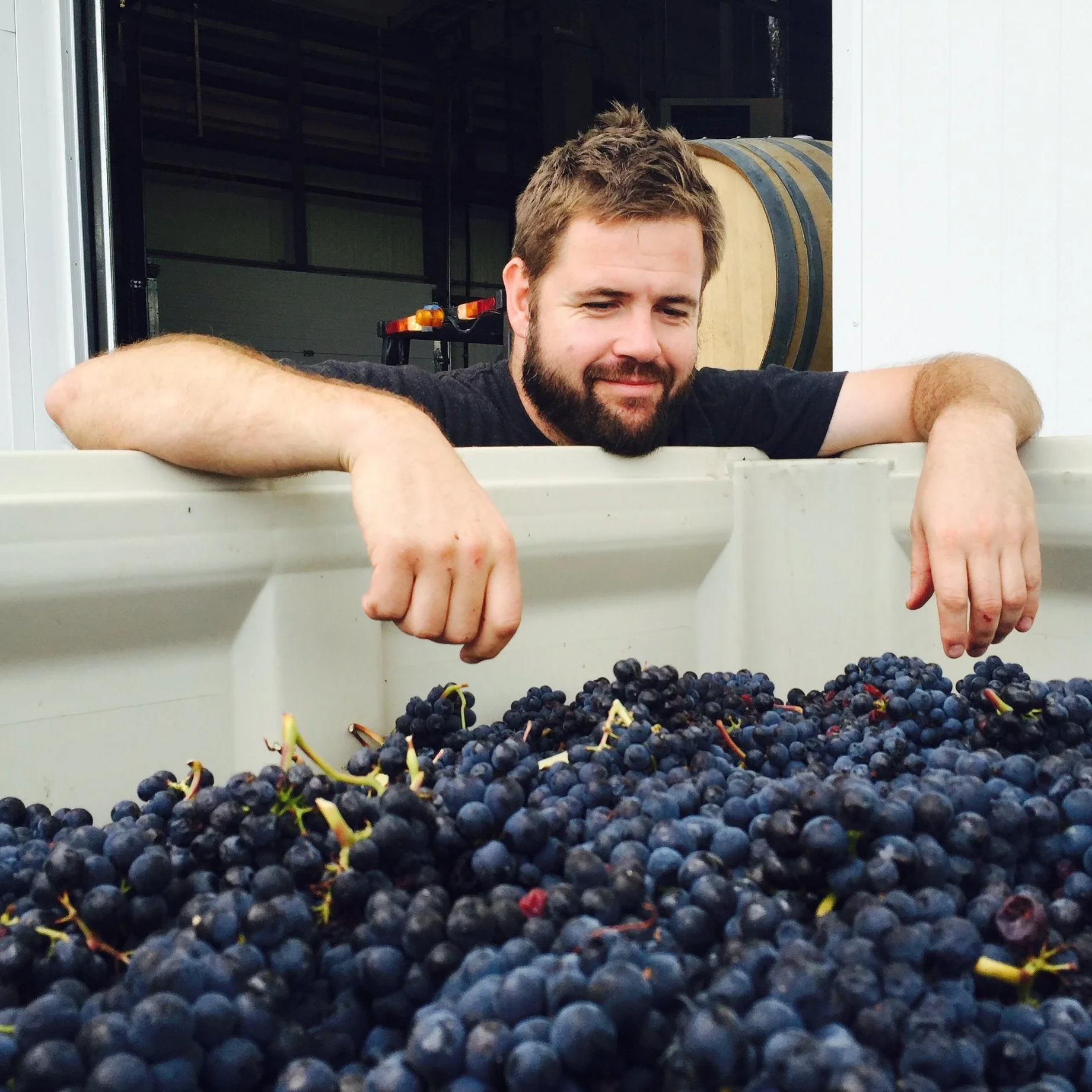 David+Paterson+Tantalus+Vineyards+GM+Winemaker+2.jpg