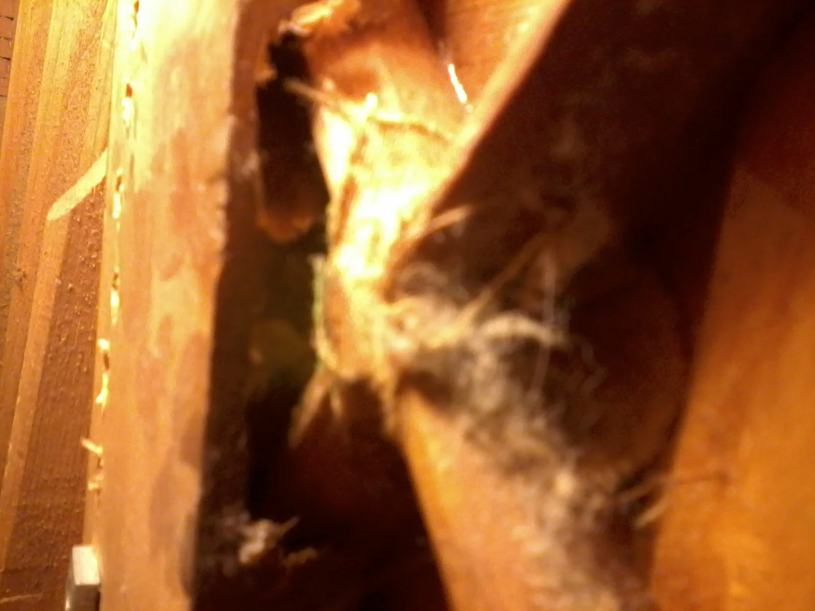 1 x piece of pine cut in over the x bracing.