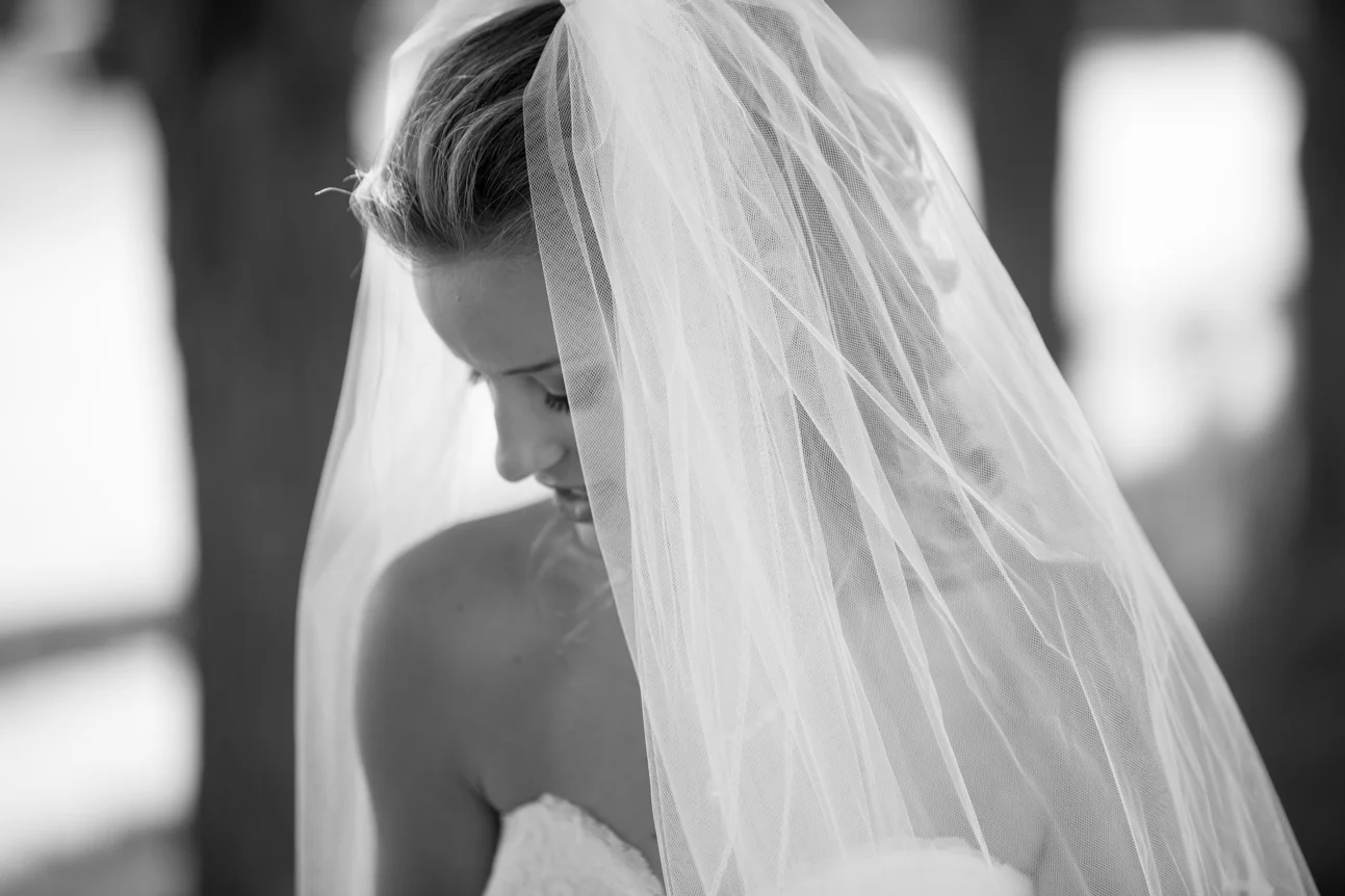 The Big Day
