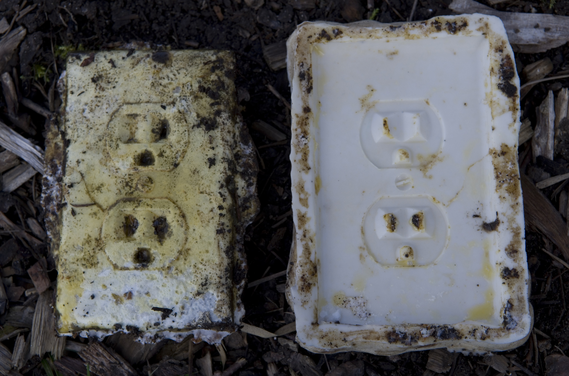 Mycelium Power Outlet
