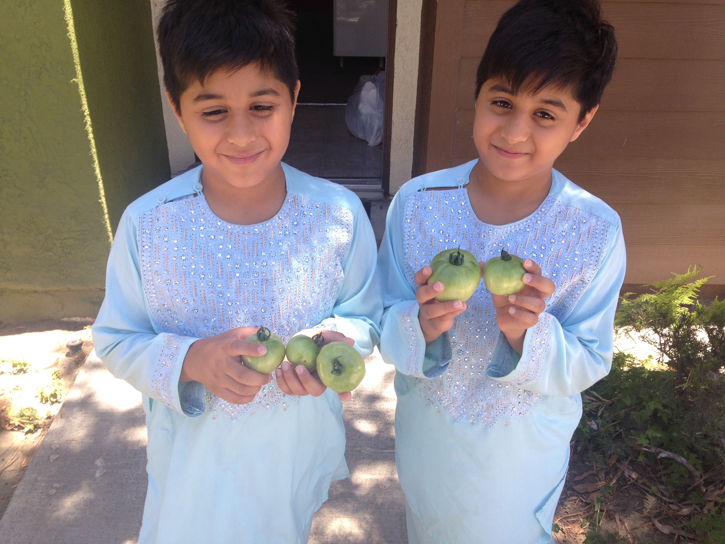  Hanaan and Manaan with matching tomatoes 