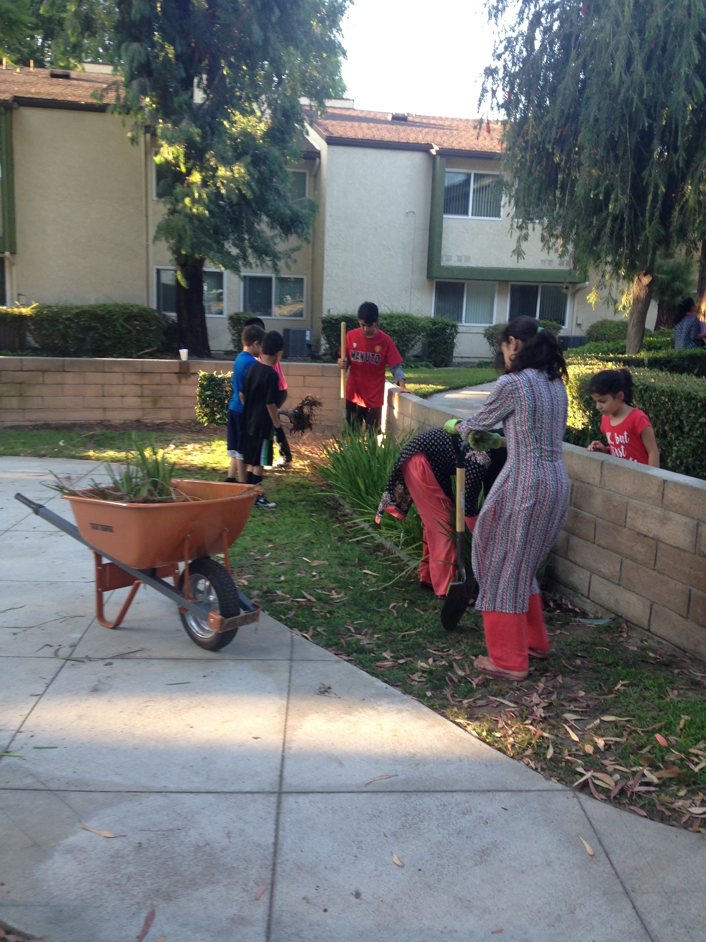 August 1, 2016...We clear the grounds so we can begin the mosaic. The wall is in the center of the property, and stands empty with the exception of a few bushes, which are dug out with gusto by the crew.