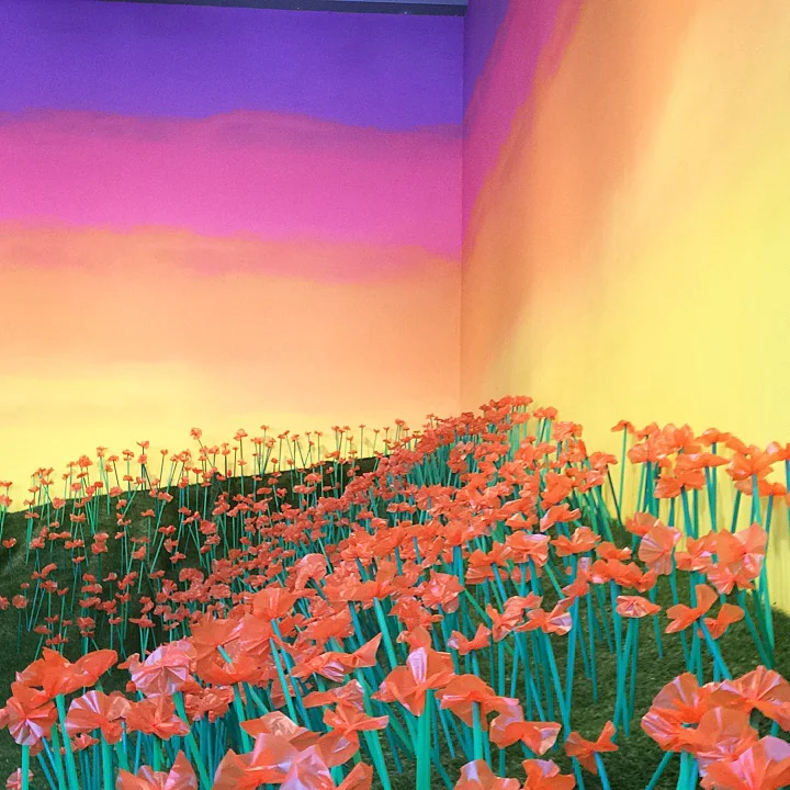 Detail of installation