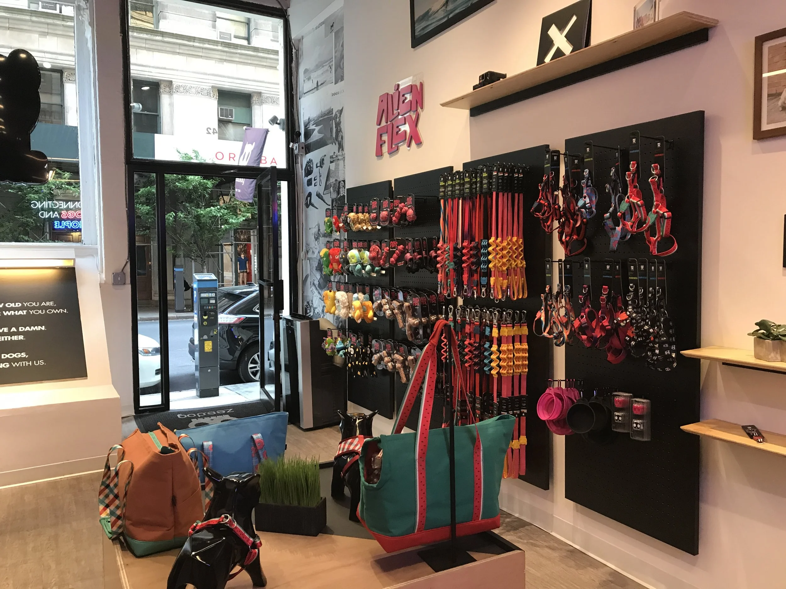 Zee Dog: revolucionando a indústria dos pet shops