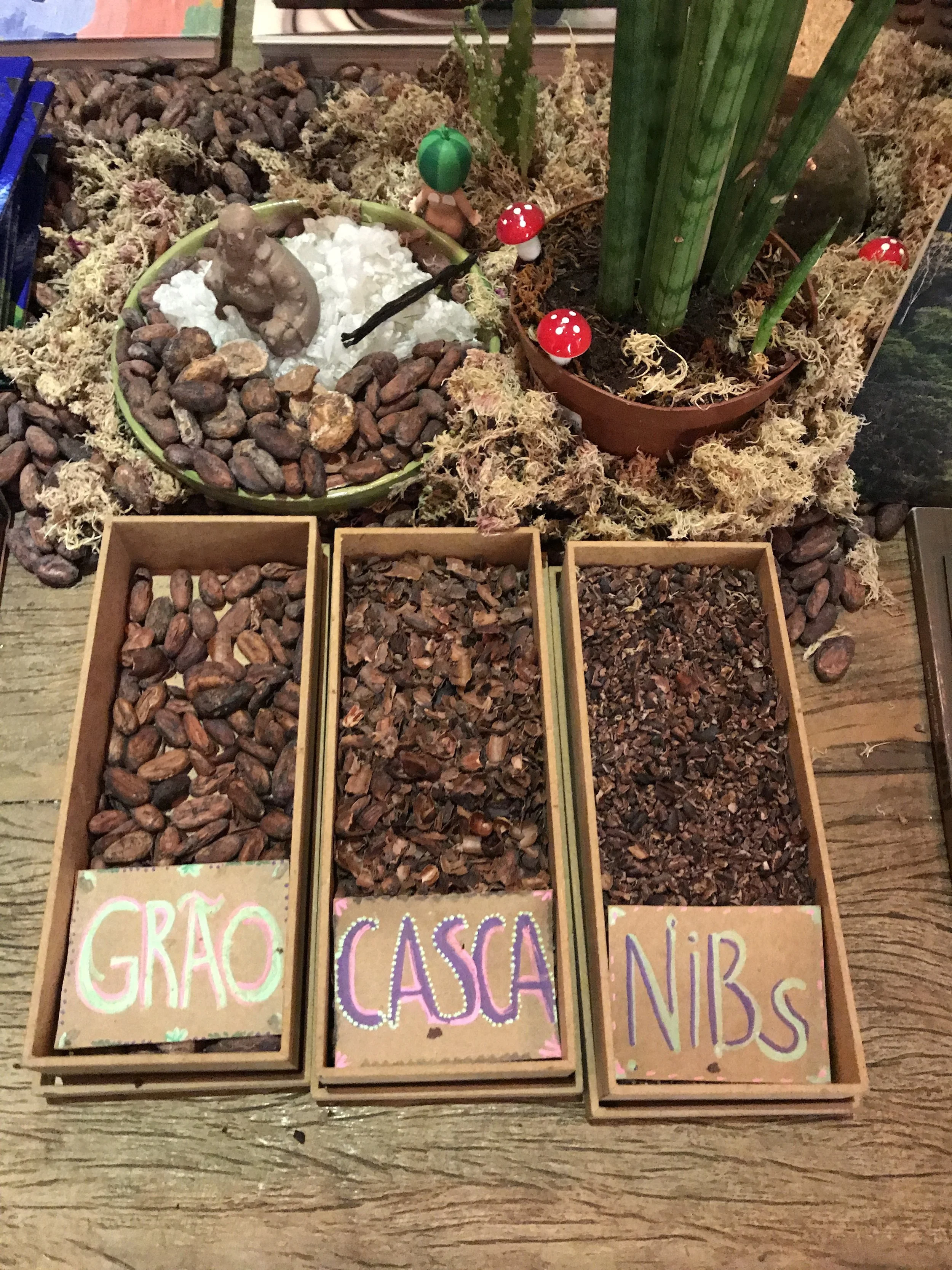 AMMA Chocolate: transformando a cultura brasileira em branding