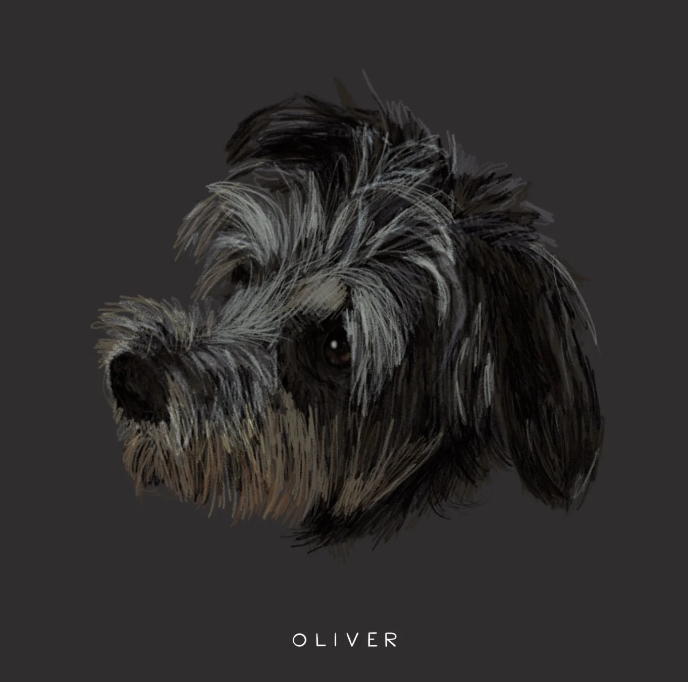 Ollie_Dog 2.jpg