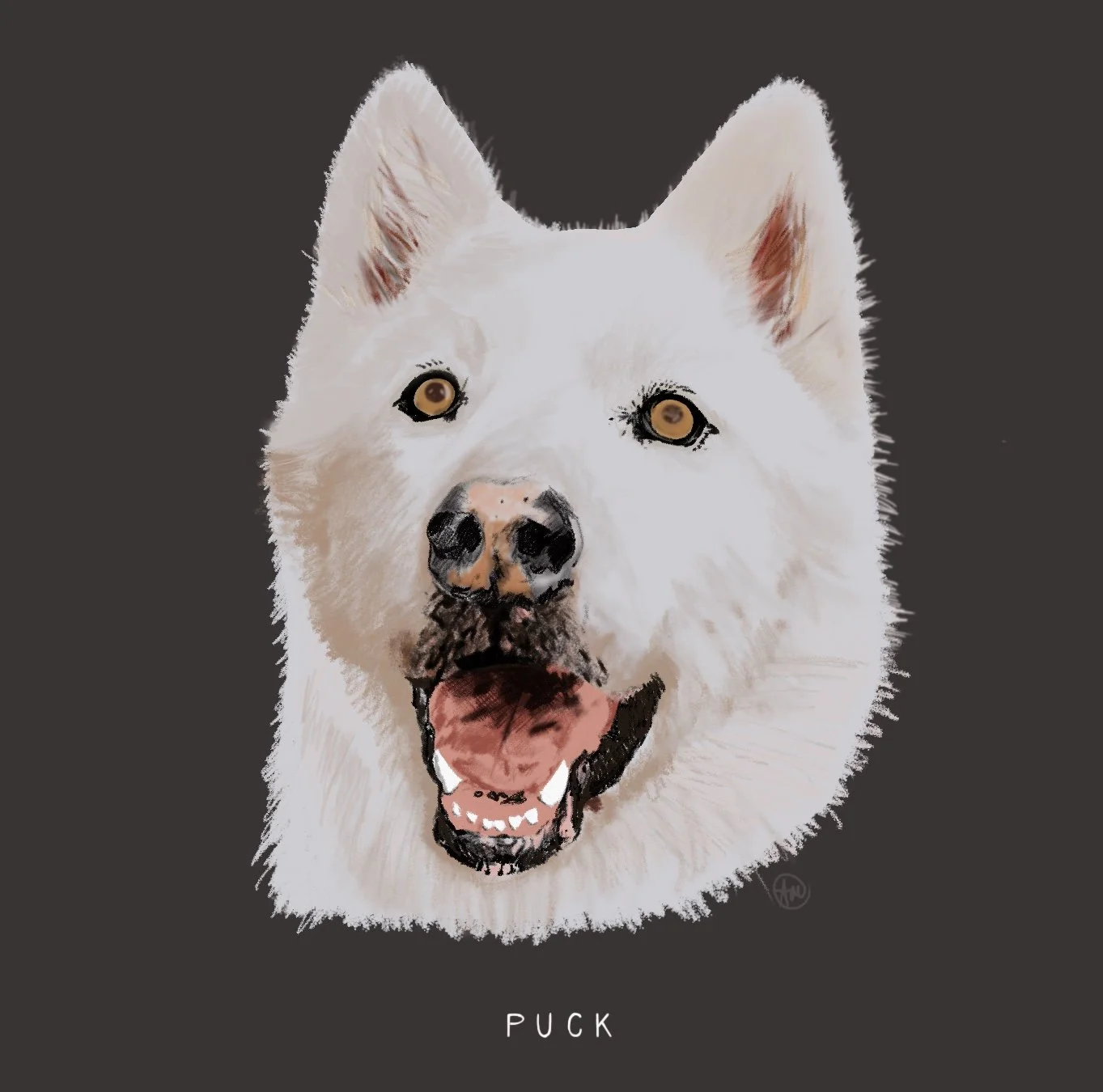 Puck_Dog_FINAL.jpg