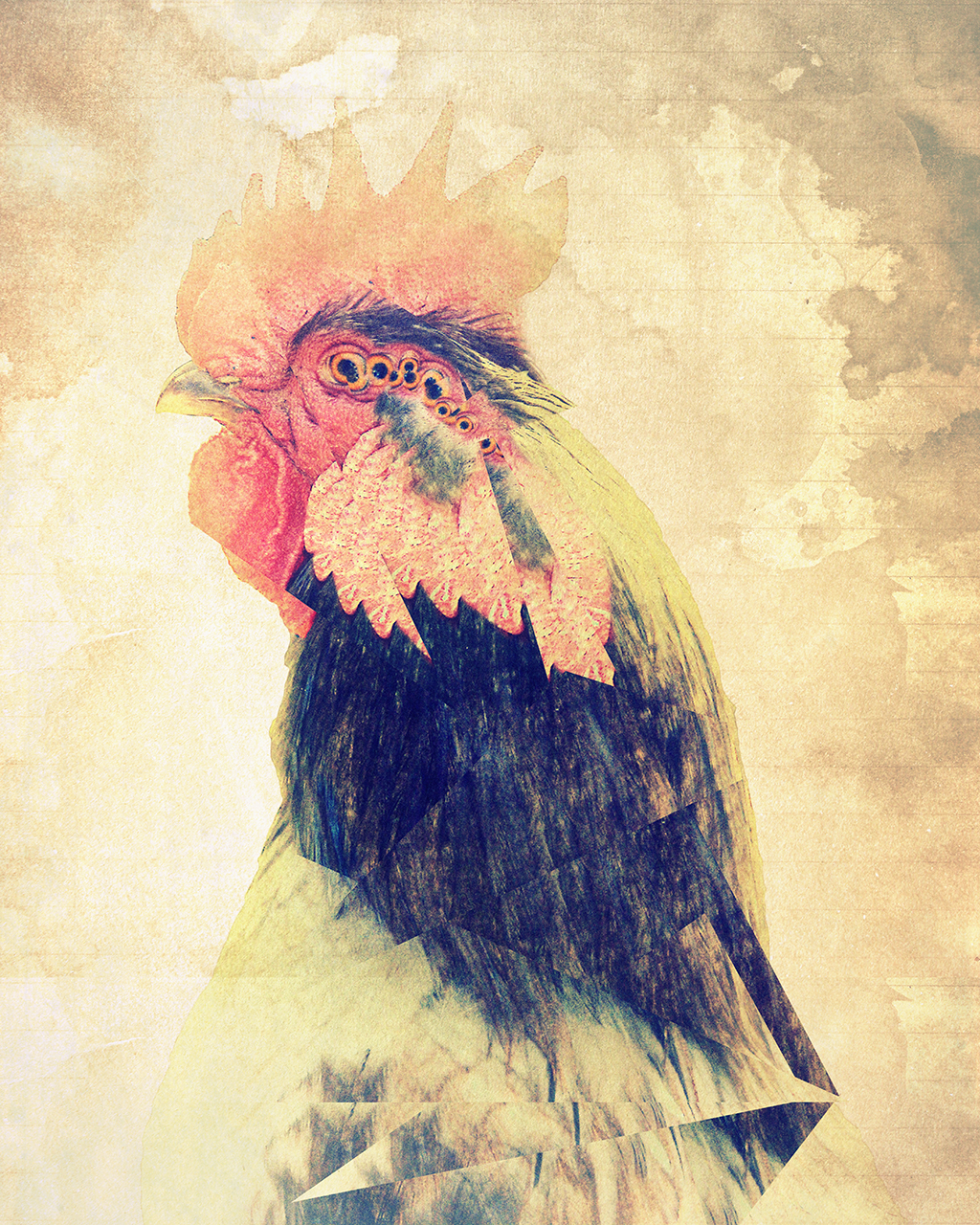 rooster.1.jpg