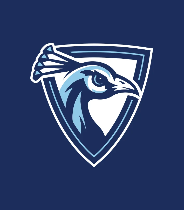 Upper Iowa University Athletic Rebrand
