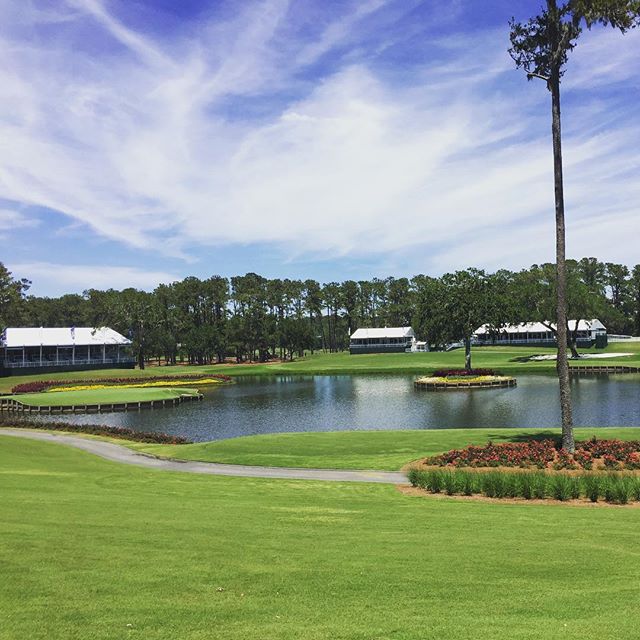 The calm before the storm... Interestingly in 1980 when Pete Dye was designing the Stadium Course at TPC Sawgrass (on a minimal budget), he used a herd of goats to clear the rough which was predominately marsh and thick scrub brush riddled with snakes and other things that bite. The goats mowed it down within 8 months and ended up staying on the property for some time becoming "celebrities" for their inquisitive demeanor and quirky antics until they finally became too much of a nuisance and were transferred to a nearby farm. And that my friends is the story of the Goats of Sawgrass.
#theplayers
See you on the old goat track.