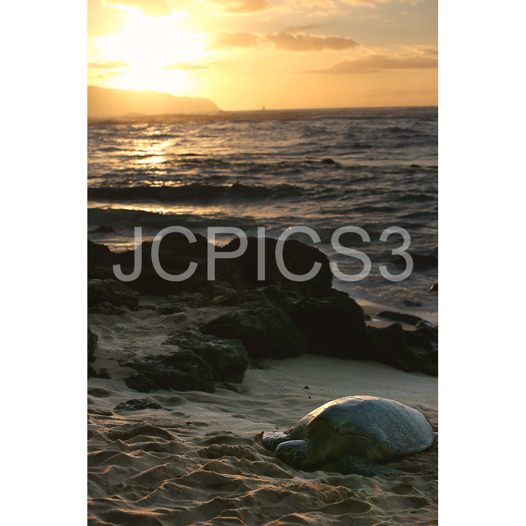 image_original_f2296038ef96964a6df5d5aed7520233.png