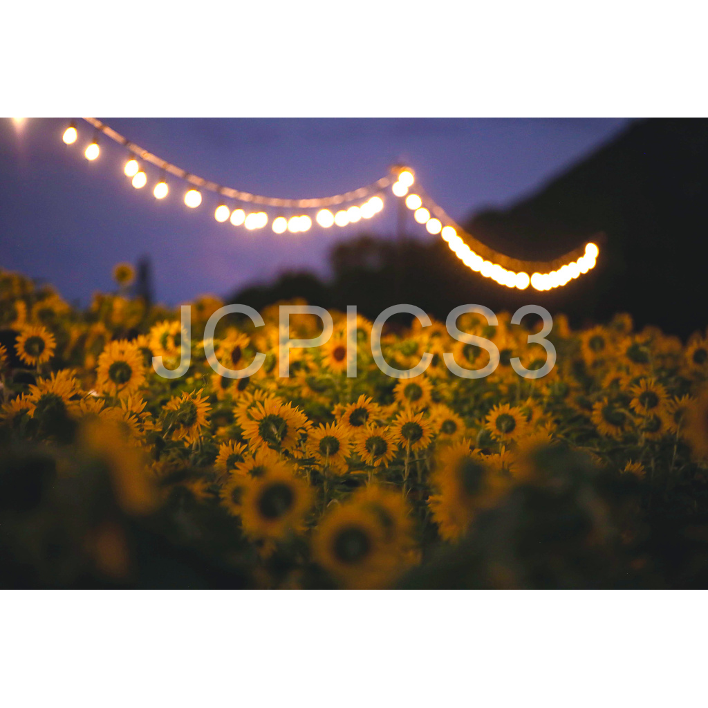 image_original_f2296038ef96964a6df5d5aed7520233.png