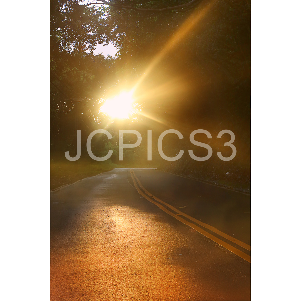 image_original_f2296038ef96964a6df5d5aed7520233.png