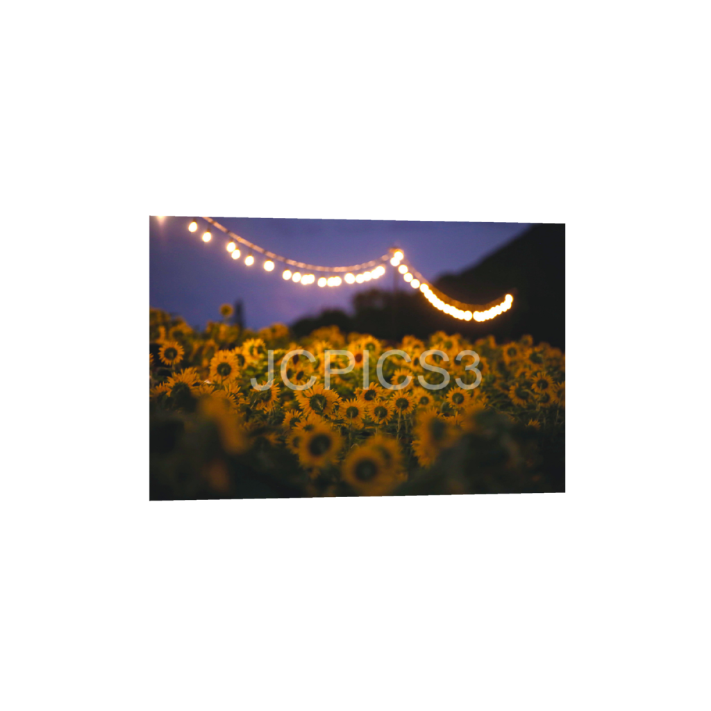 ptq_1_3_0_0_5760_3840_0_false_ffffff_0_0_f2296038ef96964a6df5d5aed7520233.png