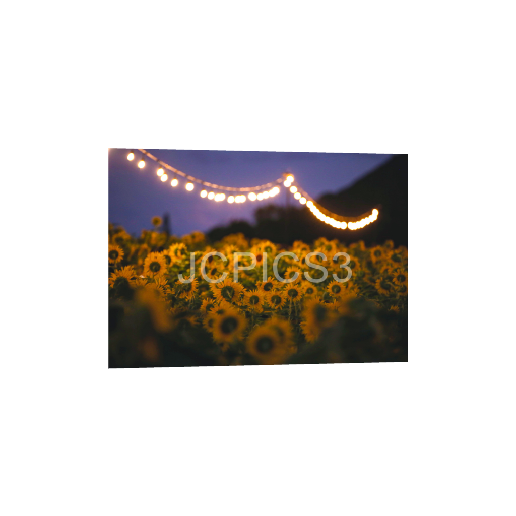ptq_1_7_192_0_5376_3840_0_false_ffffff_0_0_f2296038ef96964a6df5d5aed7520233.png