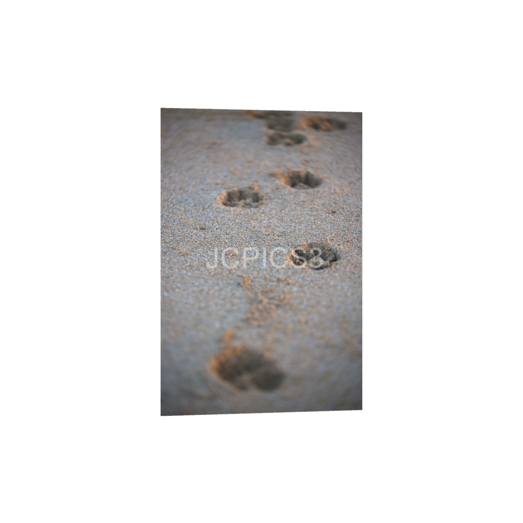 ptq_1_3_0_0_3840_5760_0_false_ffffff_0_0_f2296038ef96964a6df5d5aed7520233.png