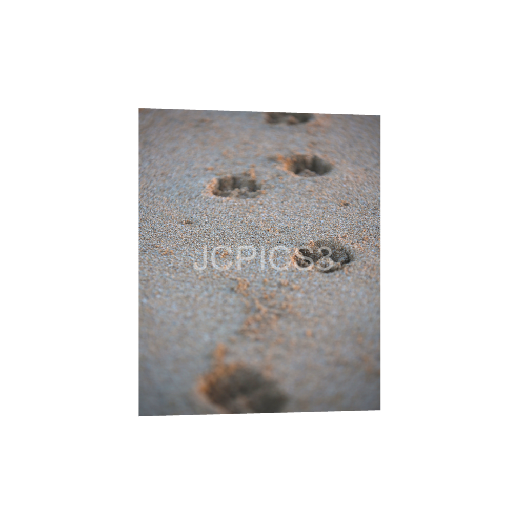 ptq_1_6_0_480_3840_4800_0_false_ffffff_0_0_f2296038ef96964a6df5d5aed7520233.png