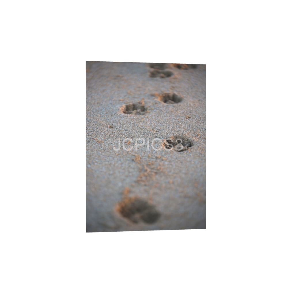 ptq_1_7_0_192_3840_5376_0_false_ffffff_0_0_f2296038ef96964a6df5d5aed7520233.png