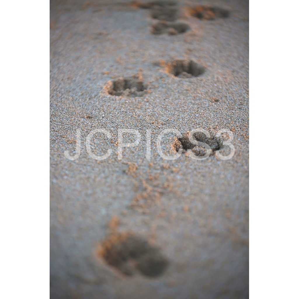 image_original_f2296038ef96964a6df5d5aed7520233.png