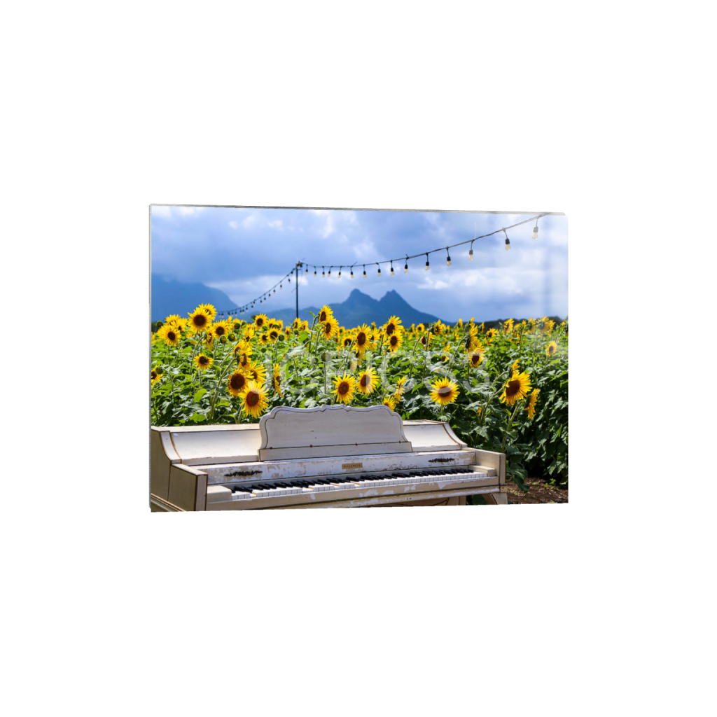 ptq_13_7_192_0_5376_3840_0_false_ffffff_0_0_f2296038ef96964a6df5d5aed7520233.png
