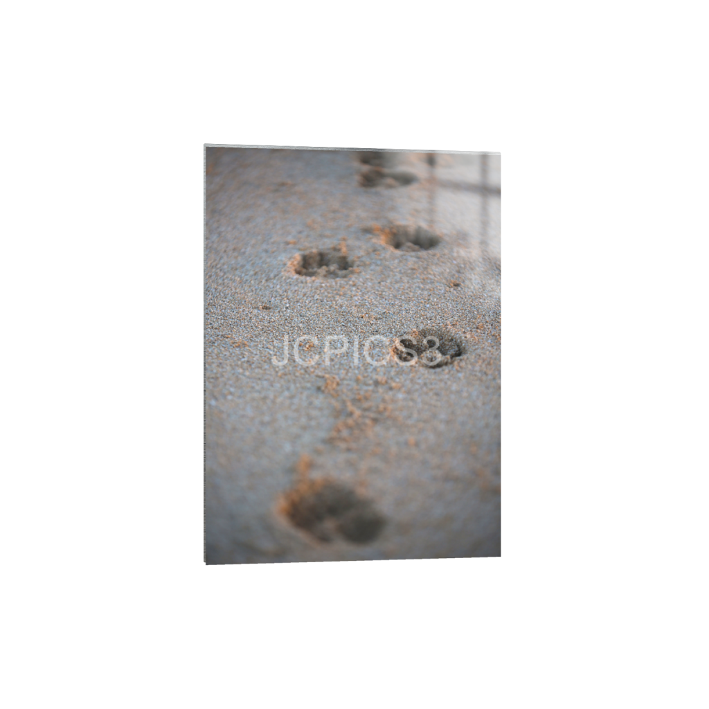 ptq_13_7_0_180_3600_5040_0_false_ffffff_0_0_f2296038ef96964a6df5d5aed7520233.png