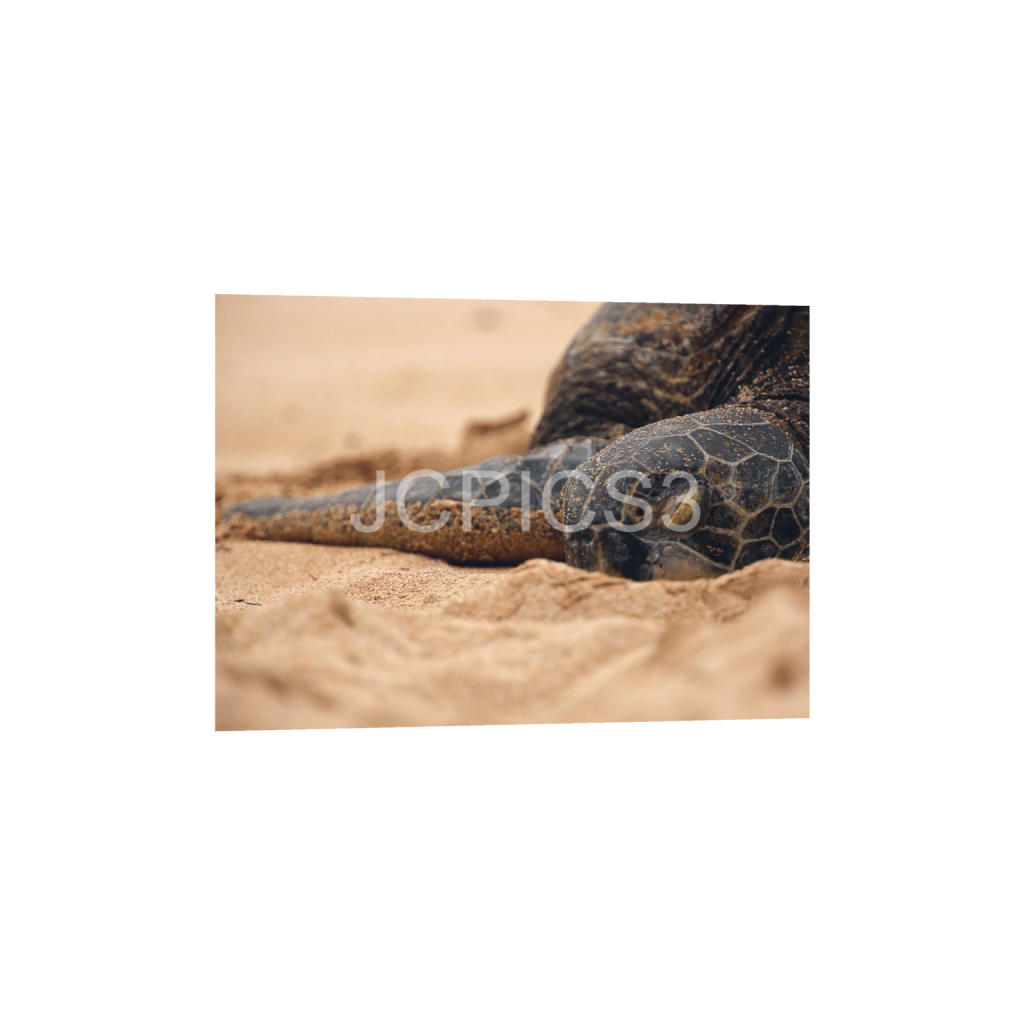 ptq_1_7_0_257_6000_4285_0_false_ffffff_0_0_f2296038ef96964a6df5d5aed7520233.png
